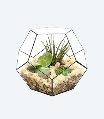 Planters